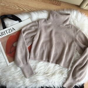Aritzia Montpellier turtleneck